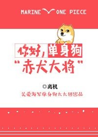 《(BG/海賊王同人)你好,單身狗赤犬大將》