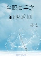 《全職高手之踏破輪迴》