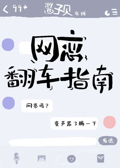 《網戀翻車指南》