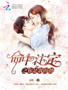 《命中註定之你是我的劫》