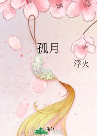 《孤月》