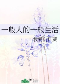 《一般人的一般生活》