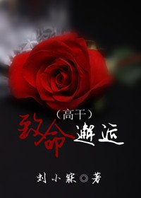 《致命邂逅》