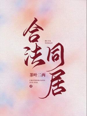 《合法同居》