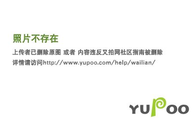 《全職獵人蜘蛛有毒》