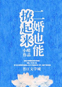 《二婚也能撩起來》