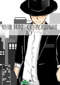 《恰逢其時(白夜追兇同人)》