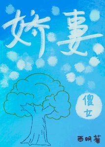 《甜心傻女小嬌妻》