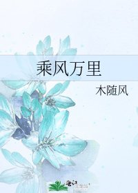 《乘風萬里》