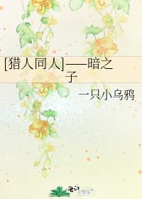 [獵人同人]——暗之子