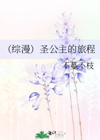 《(綜漫)聖公主的旅程》