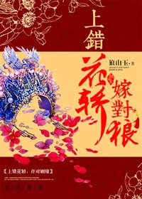 《上錯花轎嫁對狼(GL)》