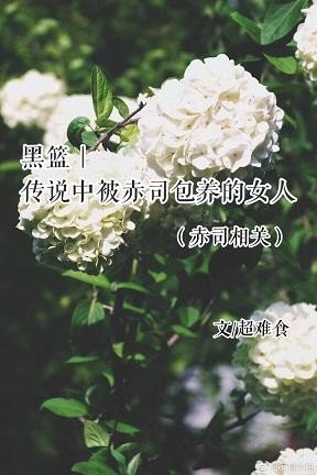 《(BG/黑藍同人)傳說中被赤司包 養的女人(赤司相關)》