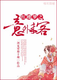 《紅樓夢之意外來客》
