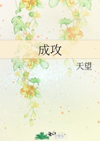 《成攻》