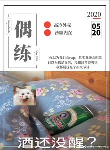 《偶像練習生之偶像的親媽粉系統》