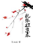 《撫琴探案錄》