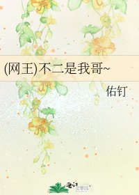 《(網王)不二是我哥~》