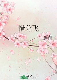 《惜分飛》
