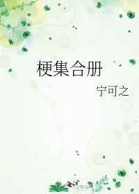 《梗集合冊》