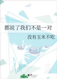 《都說了我們不是一對》