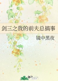 《劍三之我的歉夫總搞事》
