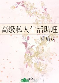 《高階私人生活助理》