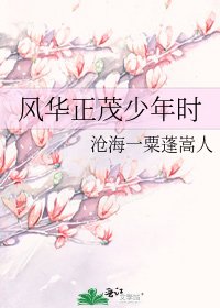 《風華正茂少年時》