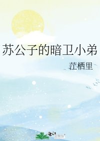 《蘇公子的暗衛小弟》