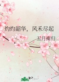 《灼灼韶華,風禾盡起》