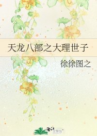 《天龍八部之大理世子》