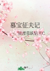 《慕寶征夫記》