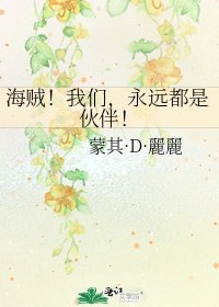 《海賊!我們,永遠都是夥伴!》