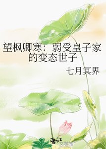 《望楓卿寒:弱受皇子家的變態世子》
