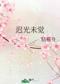 《遲光未覺》
