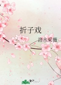 《摺子戲》