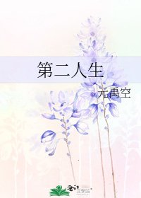 《第二人生》