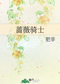 《薔薇騎士》
