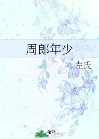 《周郎年少》