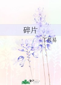 《碎片》