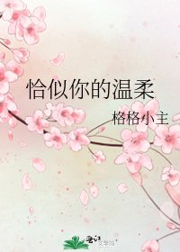 《恰似你的溫柔》
