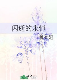 《閃逝的永恆》