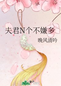 《夫君N個不嫌多》