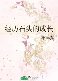 《經歷石頭的成長》