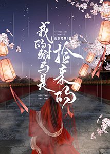 《我的駙馬是撿來的》
