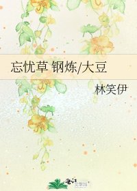 《忘憂草 鋼煉/大豆》