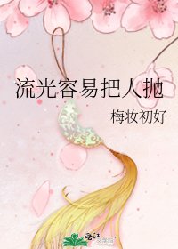 《流光容易把人拋》