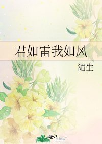 《君如雷我如風》