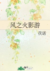 風之火影遊