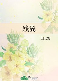 《殘翼》